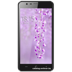             Смартфон BQ-Mobile Spring (черный) [BQ-5590]        