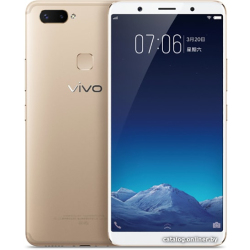             Смартфон Vivo X20 Plus (золотистый)        