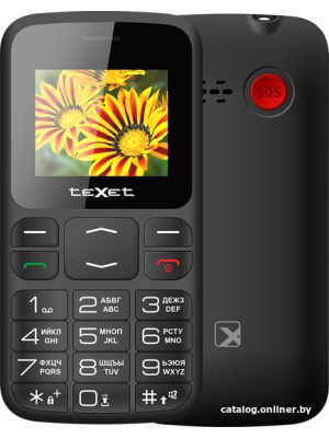             Мобильный телефон TeXet TM-B208 (черный)        