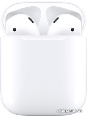             Наушники Apple AirPods 2 в зарядном футляре        