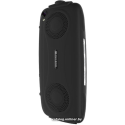             Мобильный телефон BQ-Mobile BQ-2825 Disco Boom (черный)        
