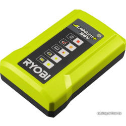             Зарядное устройство Ryobi RY36C17A 5133004557 (36В)        