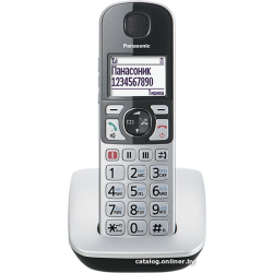             Радиотелефон Panasonic KX-TGE510RUS        