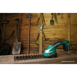             Кусторез + ножницы Bosch ASB 10.8 LI Set 0600856302 (с АКБ)        