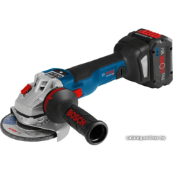             Угловая шлифмашина Bosch GWS 18V-10 SC Professional 06019G340D (с 2-мя АКБ, кейс)        
