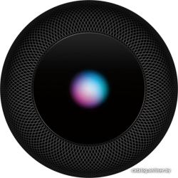             Беспроводная аудиосистема Apple HomePod (серый космос)        