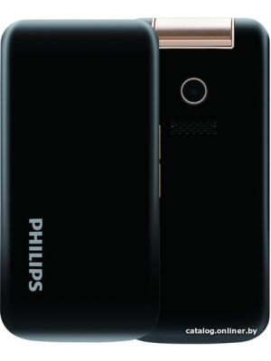             Мобильный телефон Philips Xenium E255 (черный)        