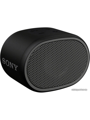             Беспроводная колонка Sony SRS-XB01 (черный)        