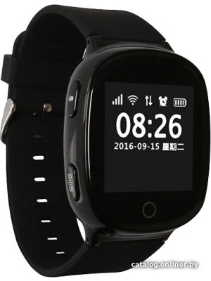            Умные часы Wonlex EW100s (черный)        