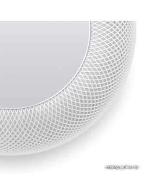             Беспроводная аудиосистема Apple HomePod (белый)        