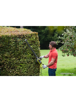             Кусторез Ryobi RHT6160RS        